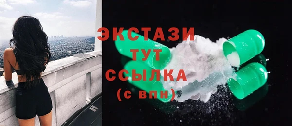 гидра Болотное