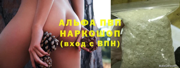 гидра Болотное