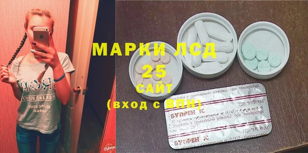 PSILOCYBIN Бикин