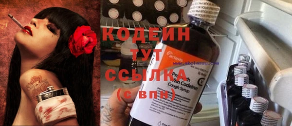 PSILOCYBIN Бикин