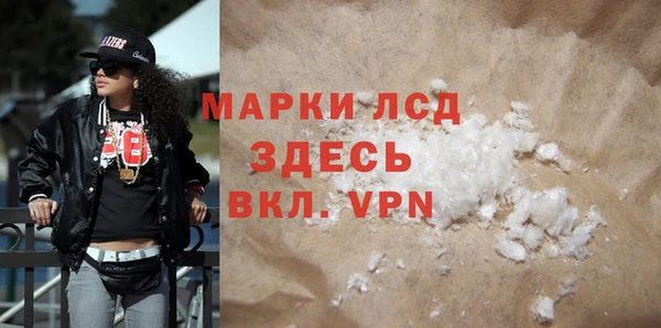 гидра Болотное