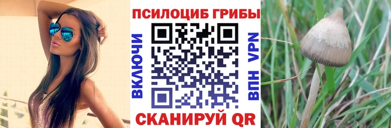 Галлюциногенные грибы Magic Shrooms  Иннополис 